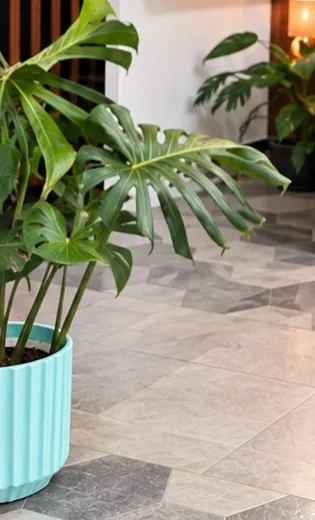 Interior de la tienda con estantes de armazones